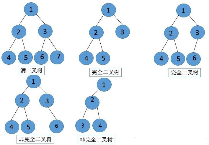 多种二叉树区别